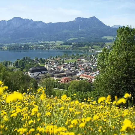 Διαμέρισμα In Near Amade Slopes Hüttau